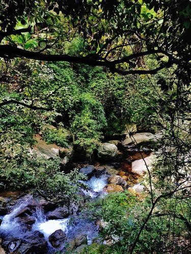 如果油价破 10 块，你还开车吗？游戏画面