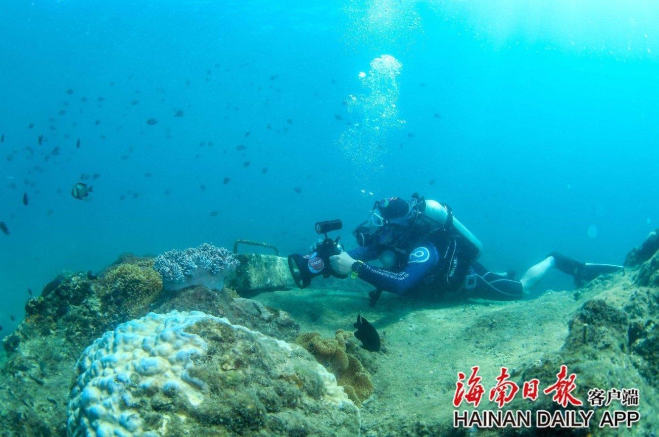 逃出重围第一章