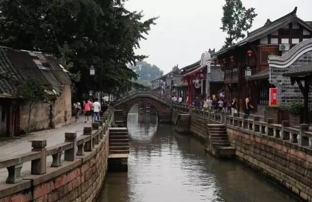 逗小猴开心系列211